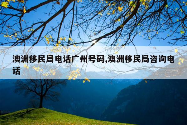 ֵ绰ݺ,ѯ绰