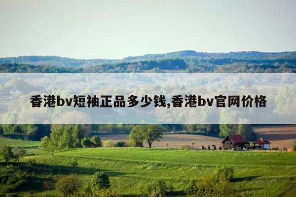 bvƷǮ,bv۸